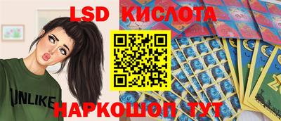 твердый Заводоуковск