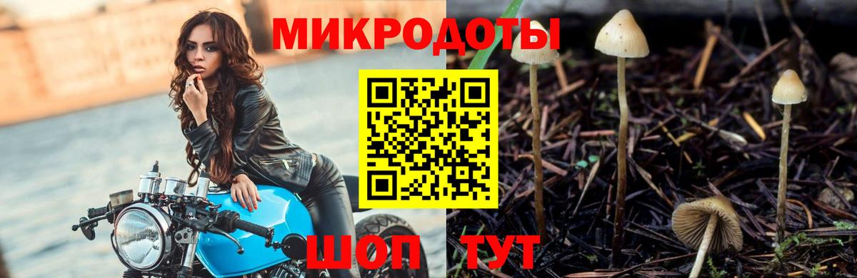 Псилоцибиновые грибы мухоморы  Вход с VPN  Мариинск  Галлюциногенные грибы Magic Shrooms 
